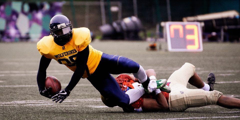 62490628_2206520762729601_439781892078698496_o